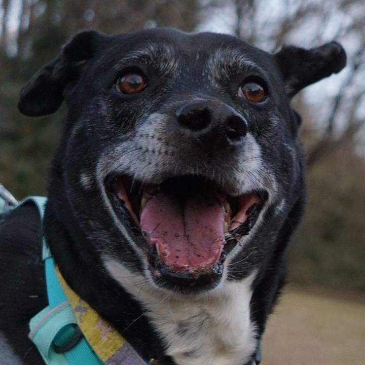 886f34d5 0e9c 44eb a0ed 6b086251379b 1769474937325