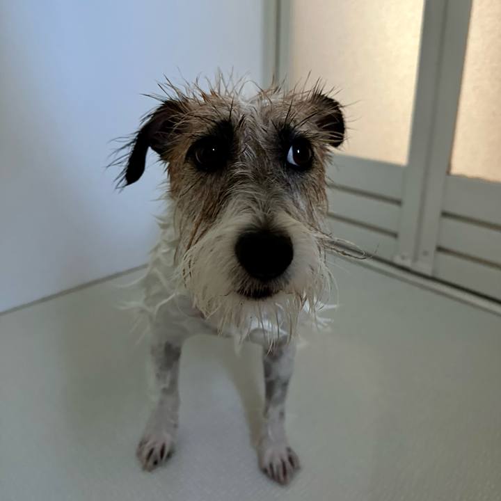 886f3873 05ad 4dde 9457 b16cf5060c83 1693713344132