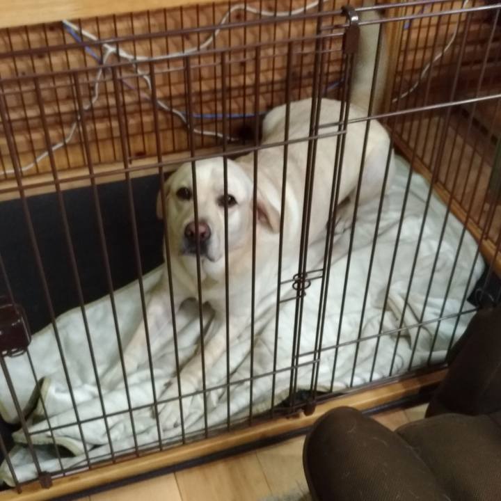 886f4725 6f43 4aa3 a019 61e2fb6d6677 1536918728543