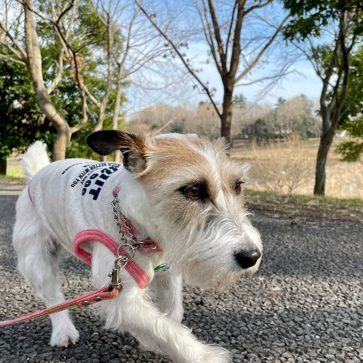 886f5879 b0d3 4f21 91fe 8a7d1b8f68b4 1647241566387