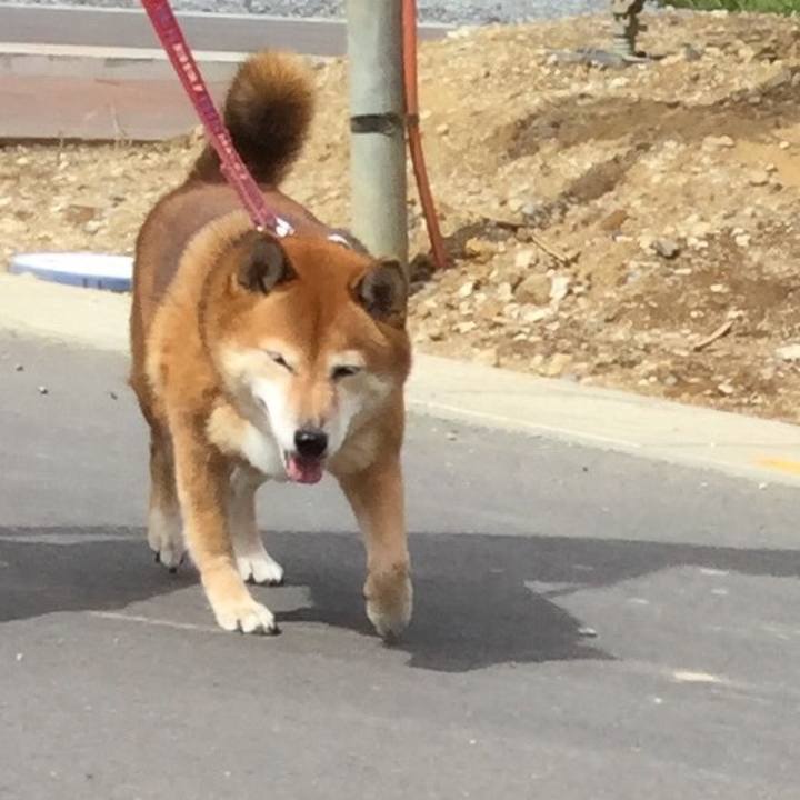 886f743f bc05 4f9c ab3c 8ca33ae8e63c 1568510470288