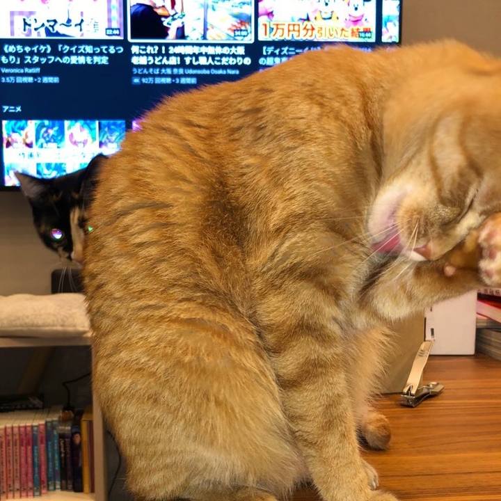 886fa2d1 4c34 4172 ac0c 15eb42df9d19 1660642443508