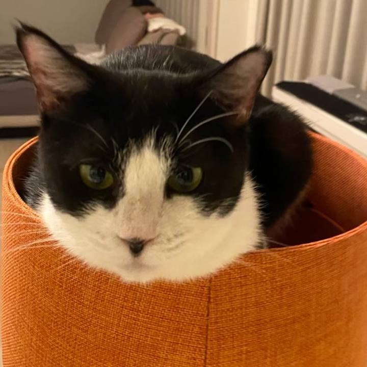 886fd406 8880 4922 945e 26b13754d5e6 1720522303385