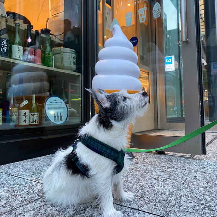 88701134 0224 4ded a990 55c3213905ff 1601205976314