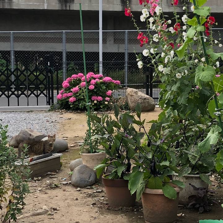 88701b6a aa8c 469e aaf6 cce7156a2e22 1528977943727