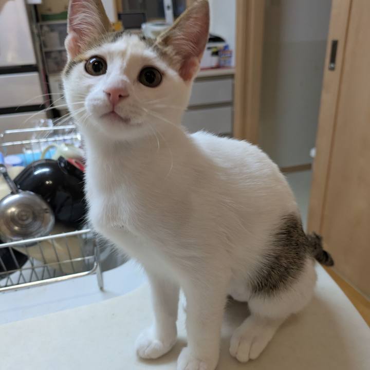 887025ef 5420 4e4a b08a 5c7dbaf26110 1765877850285