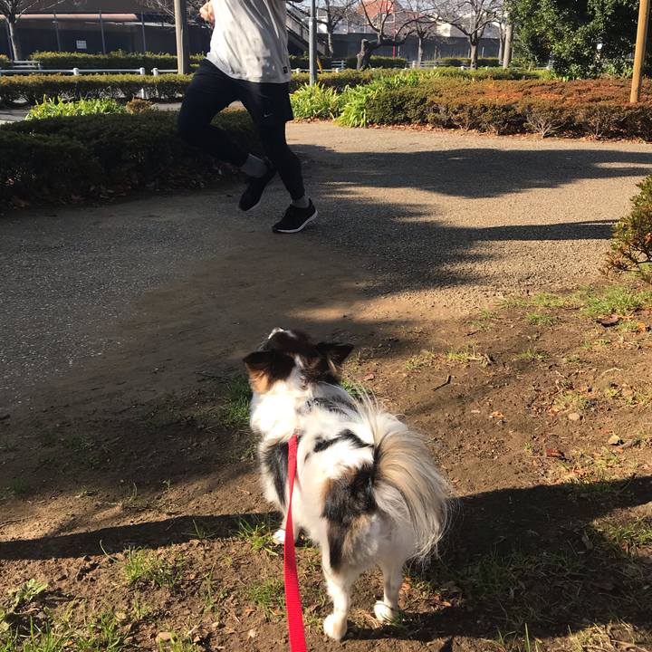 887027d4 ac7c 449c 8a4e f1a80ed91ba7 1577759050910