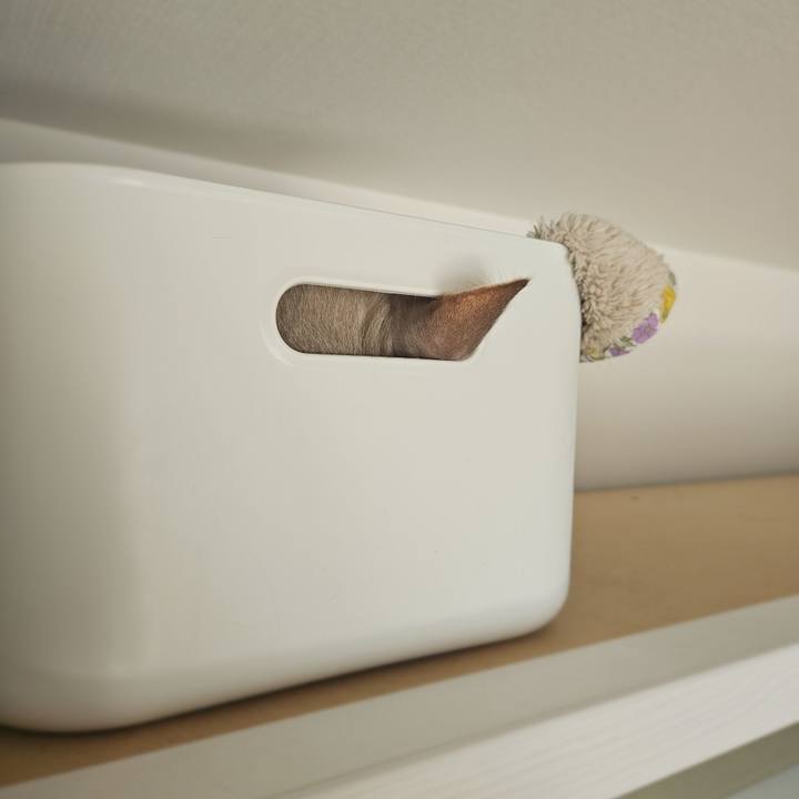 88702ddc 5659 4583 99bf fd68a0306589 1770124089420