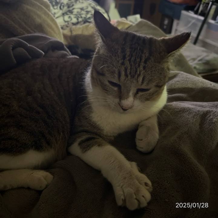 88703c21 27b8 4621 81e0 e2e02a06e851 1738014858476