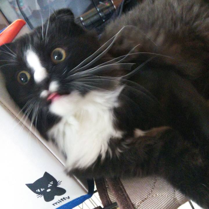 88704b04 e168 4a4c 8849 ef5bbc7ef17b 1645670323576