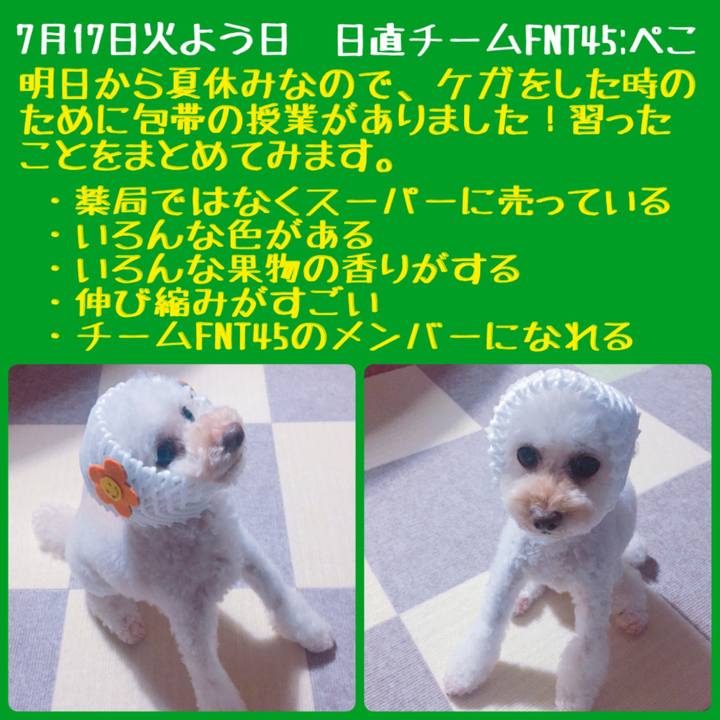 88707076 c22a 4fcb 9b9f 5a7b4b8fee34 1531813718208