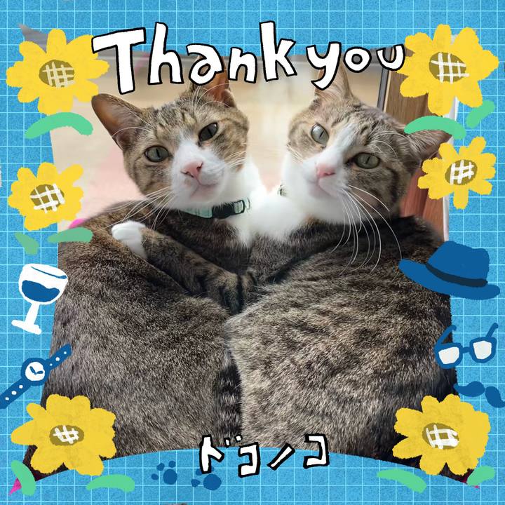 8870868c 2e6a 410a aedf 2fd40b457251 1717654491291