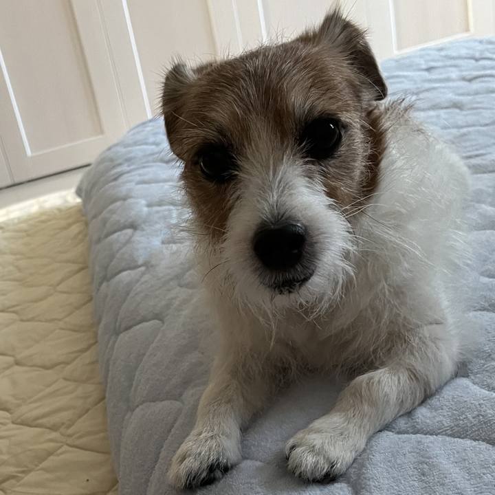 8870b218 27db 4fa3 9d55 7578342c7619 1718480155173