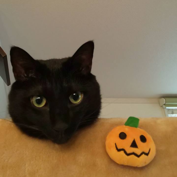 8870d83e 2445 467c 9934 0f75e2cfc0c4 1603412056578