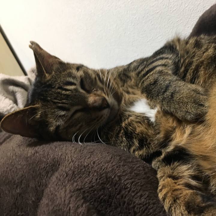 8870e0f7 7c7f 4893 bace 578842aeeb7d 1522075792616