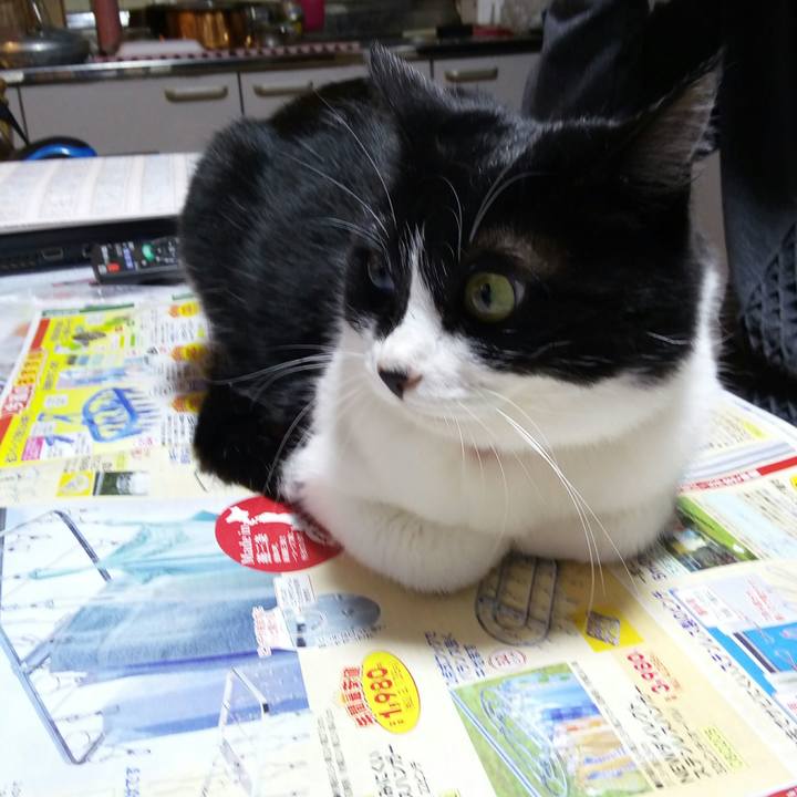 8870ffda ee08 4ecf 91d4 c8e4a2f32558 1524560625170