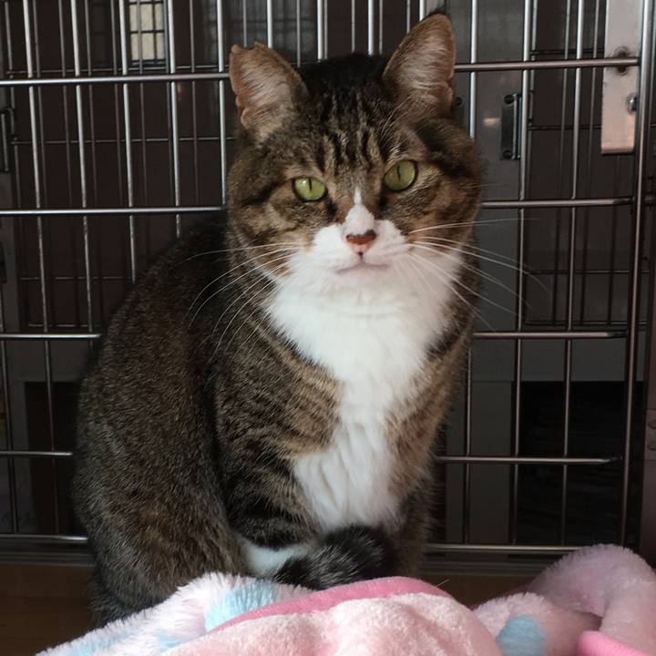 88710b5a d6fa 40f6 ad6b 0038b3d1a9c2 1582881805119