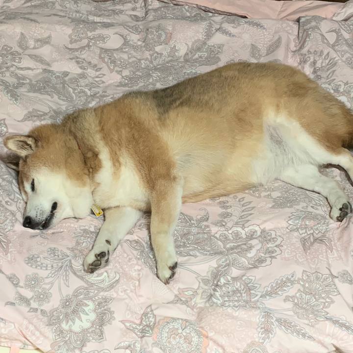 88710b93 552a 416a 8142 c3c6c35c9778 1569279534249