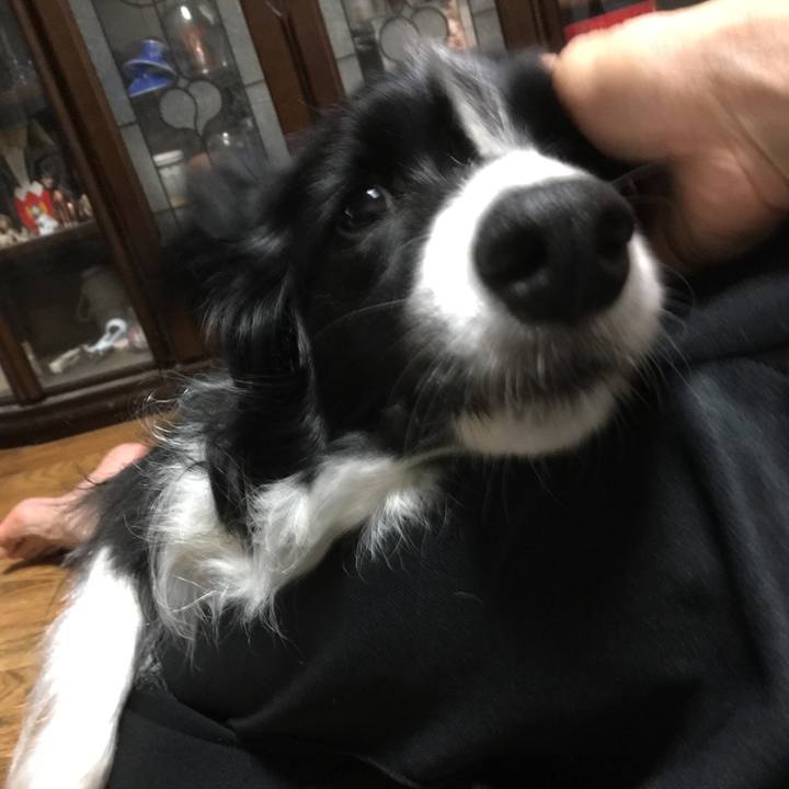 887141f4 8dff 4030 acb2 e4852aaa731f 1534473251839