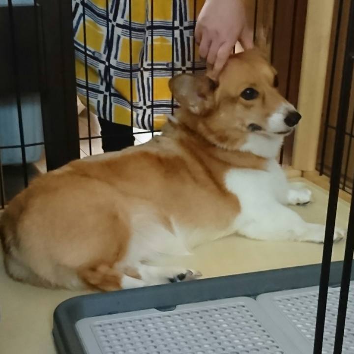 887173dc c2f2 45b1 8f04 5a66200af9ac 1534164284879