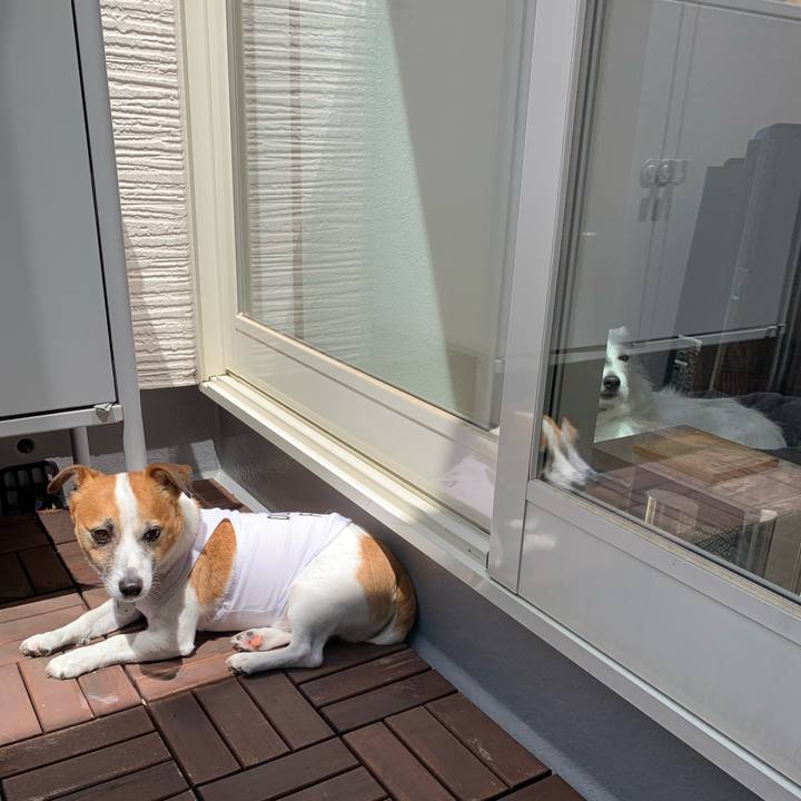 88717482 bff2 439c 9b39 ebafc1c48eeb 1588816505551