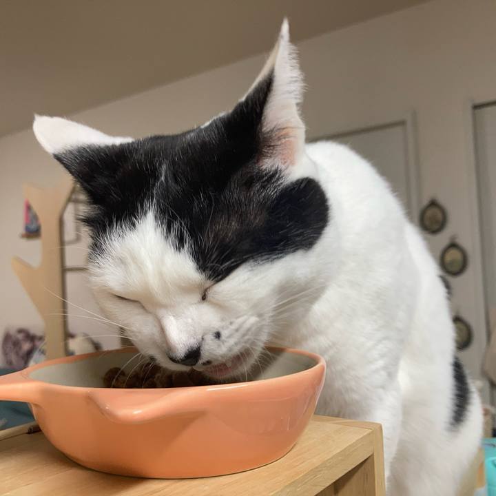 88718e13 237d 4829 9abb 1d8dd5b38631 1774559598875