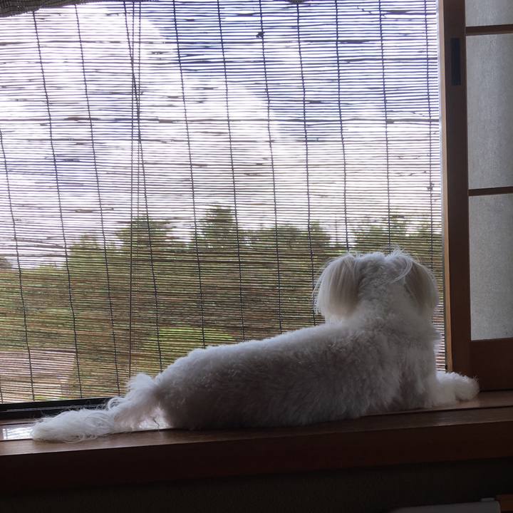 88719468 d7ee 424a 8df6 a29b549d05ea 1544617427779