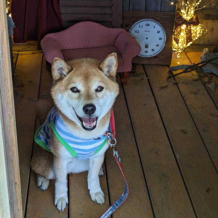 887198af ff04 4598 8bb3 997b80ae6f4b 1715584893312