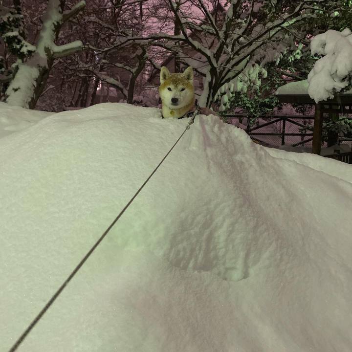 8871a4f5 f920 4348 8402 5ebeea4edde6 1643629797666