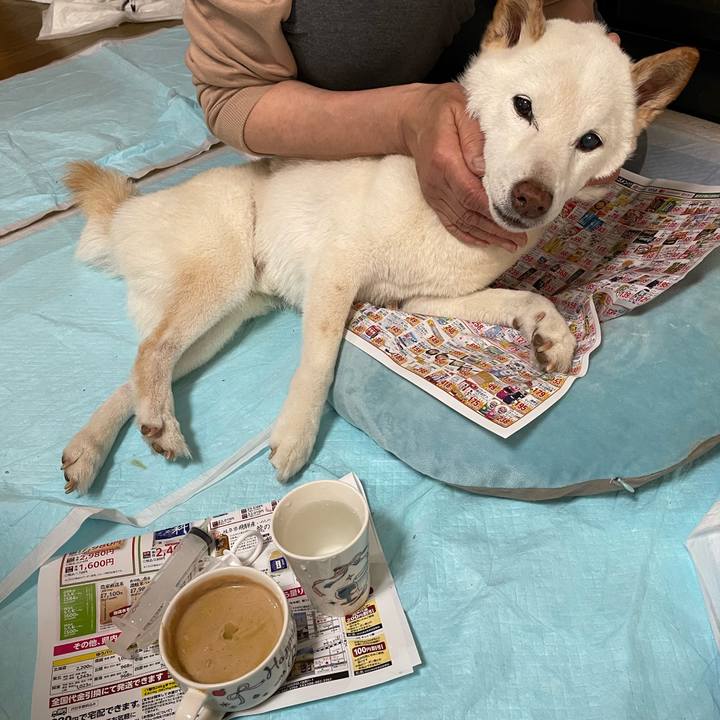 8871d154 49e8 46a7 b8f1 f6760f916f4c 1650005142762