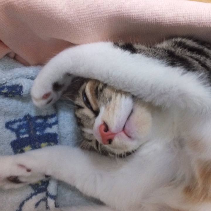 887211f0 5e89 41df 9fcf b8cfd55e29ba 1632106175153