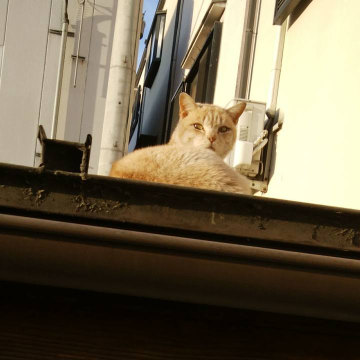 887279c2 ad16 4c54 af45 84e3abe5eb84 1552121540034