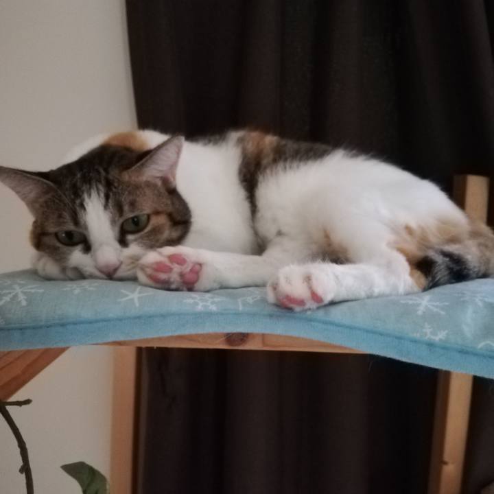 887282d9 8a2c 48c4 84a9 cfaf313bb074 1599800664992