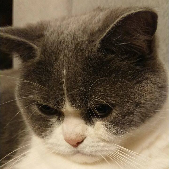 88728671 3e3d 4839 be7f d58420bb2179 1562144528997
