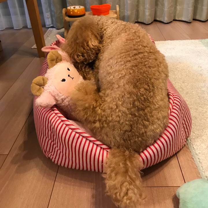 887293ed b370 4da8 8067 d0f84a682100 1513600171585