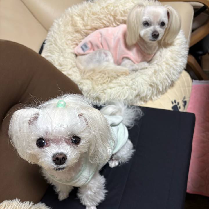 8872b83c faa1 4cdc 9304 62b4fe207c62 1773401720291