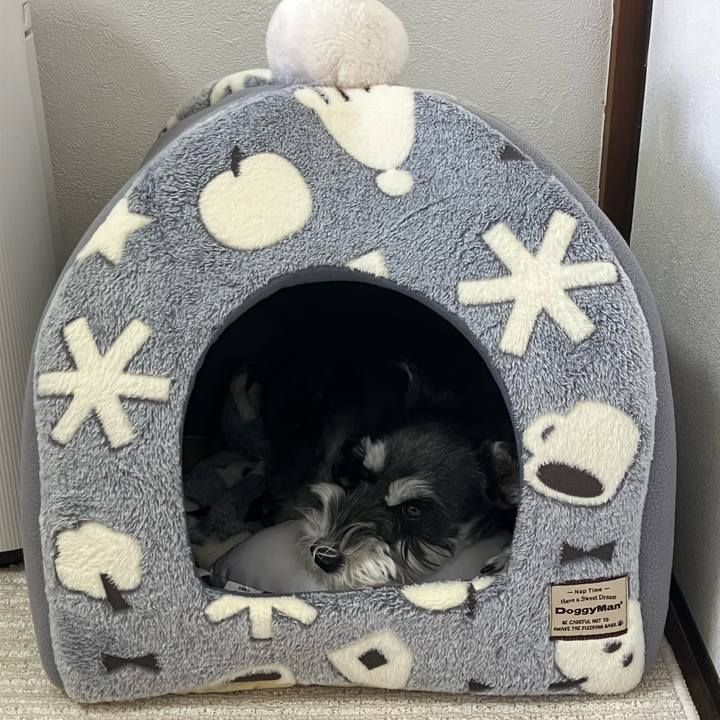 8872fe47 2b80 446d bedd 3bf1183241a7 1762133488489