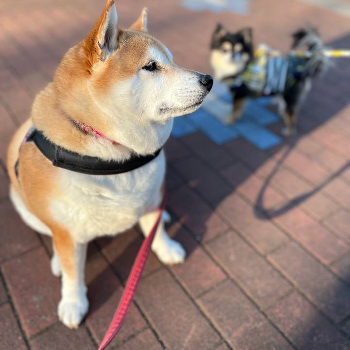 8873563c 5802 40b4 a7ed 9be7f752ff89 1677494419591