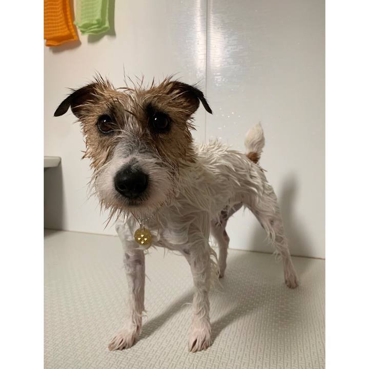 88737ddc e9e3 47b4 bf8f a6520afba4a7 1590921783784