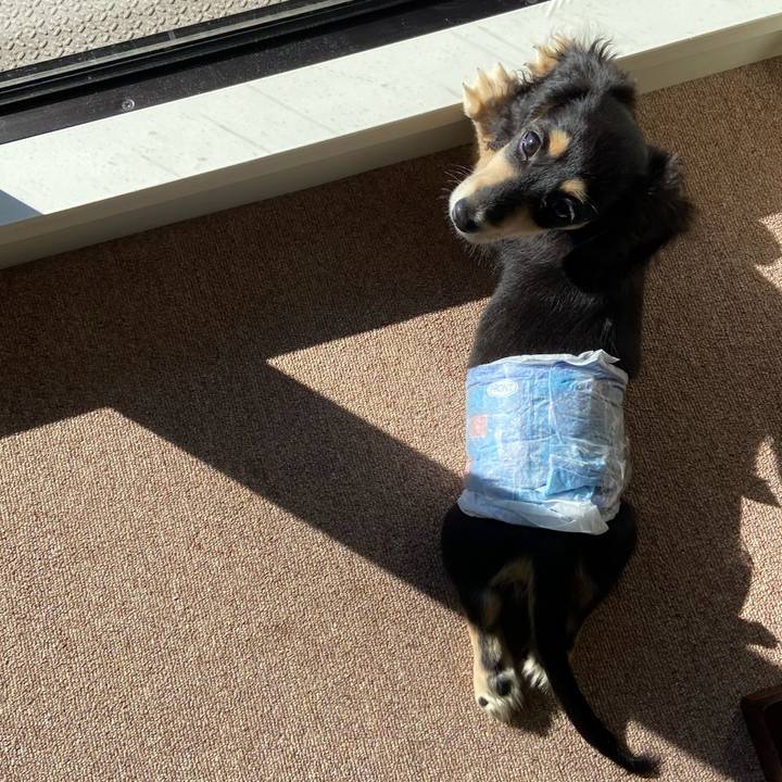 8873dc3b 3244 4cc8 831e 794fa9dcaebb 1667173655188