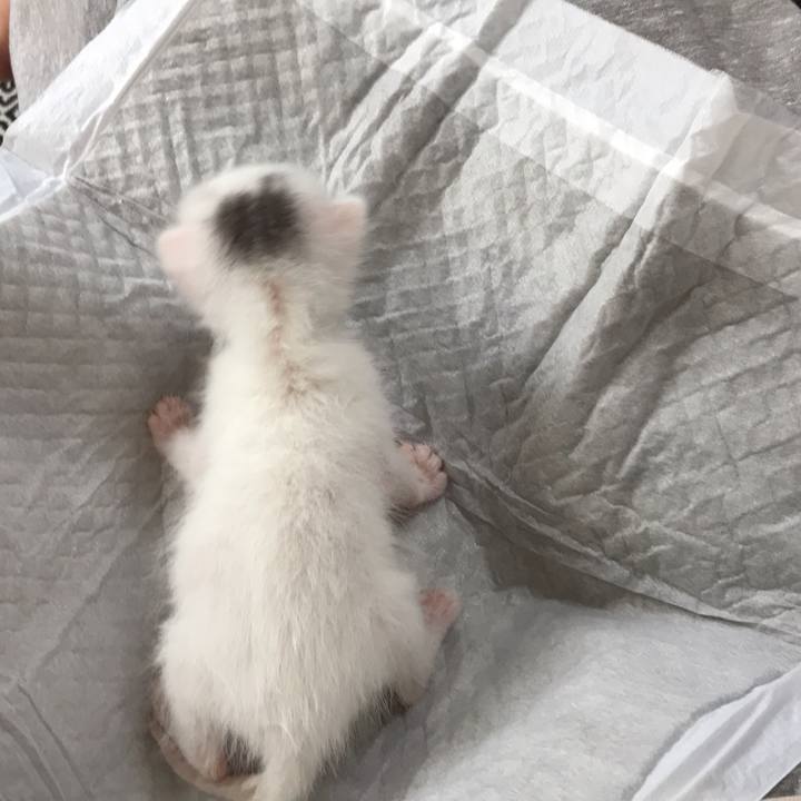 8873e55c 7a1c 4459 bc6f 9056522f868e 1589677719594