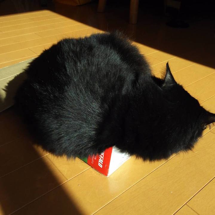 8873fb8b 4e41 47c4 9aff 0e83bca379f4 1508042165286