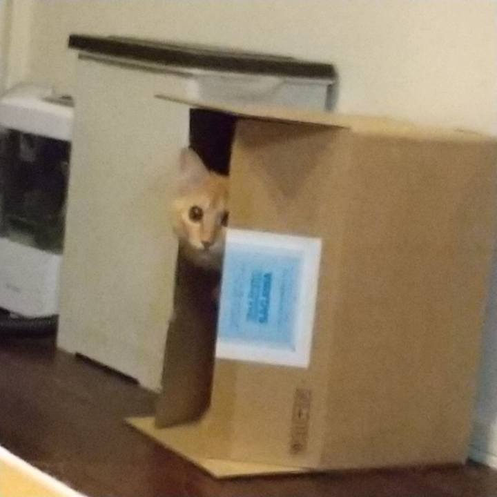 88740b63 cbd0 4ff6 ad79 297100125401 1635428310112