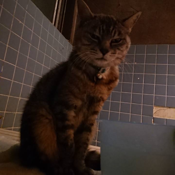 88740f8f b842 42fa 8367 805e251c5298 1569232392814