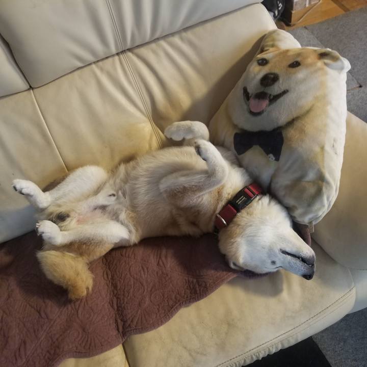 88741616 2b19 4e29 b1ef 58d46089bde9 1752531508293