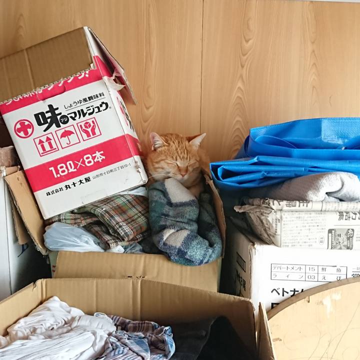 8874370d 1ee1 41fb ba03 52a7f9b38c63 1582354089257