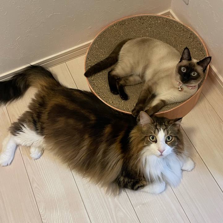 88744c26 2d05 40f4 9c75 4b55f3d4ae6d 1713383940304