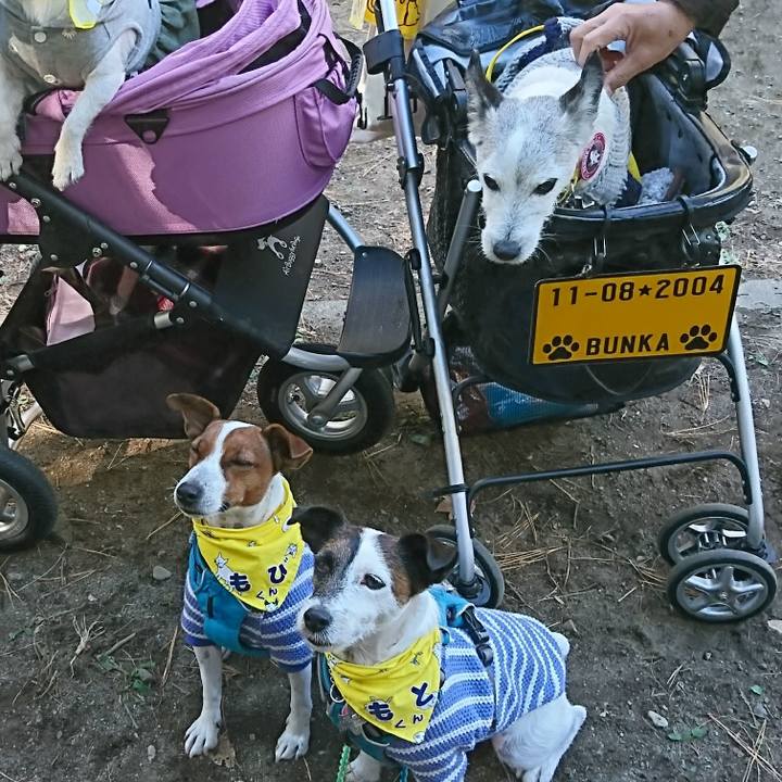 8874828d 82c8 428b b4ed 8d0bd314d1ec 1606545987737