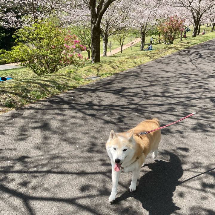 88748a66 0038 45a8 af53 2d80c50d09da 1698940812607