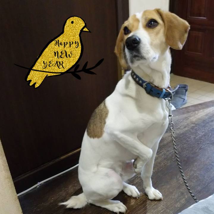 8874a38b eed1 4532 a03f 4a614c6c5bee 1609568689178